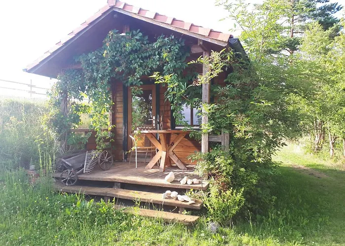 Am Dachsberg, Bayerischer Wald Apartment *