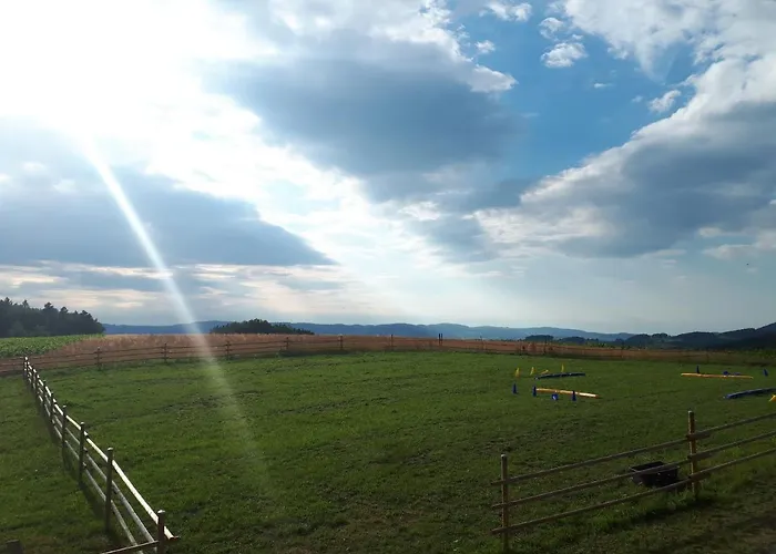 Am Dachsberg, Bayerischer Wald Apartment *