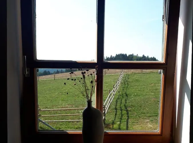 Apartment Am Dachsberg, Bayerischer Wald Haselbach